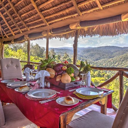 Ngorongoro Forest Tented Lodge カラトゥ エクステリア 写真